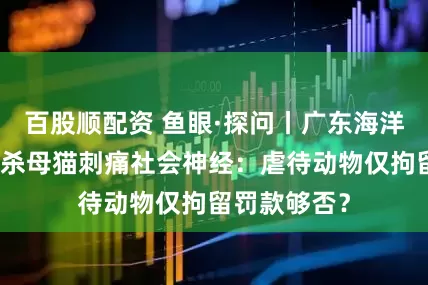 百股顺配资 鱼眼·探问丨广东海洋大学学生虐杀母猫刺痛社会神经：虐待动物仅拘留罚款够否？