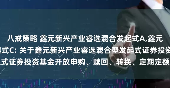 八戒策略 鑫元新兴产业睿选混合发起式A,鑫元新兴产业睿选混合发起式C: 关于鑫元新兴产业睿选混合型发起式证券投资基金开放申购、赎回、转换、定期定额投资业务的公告